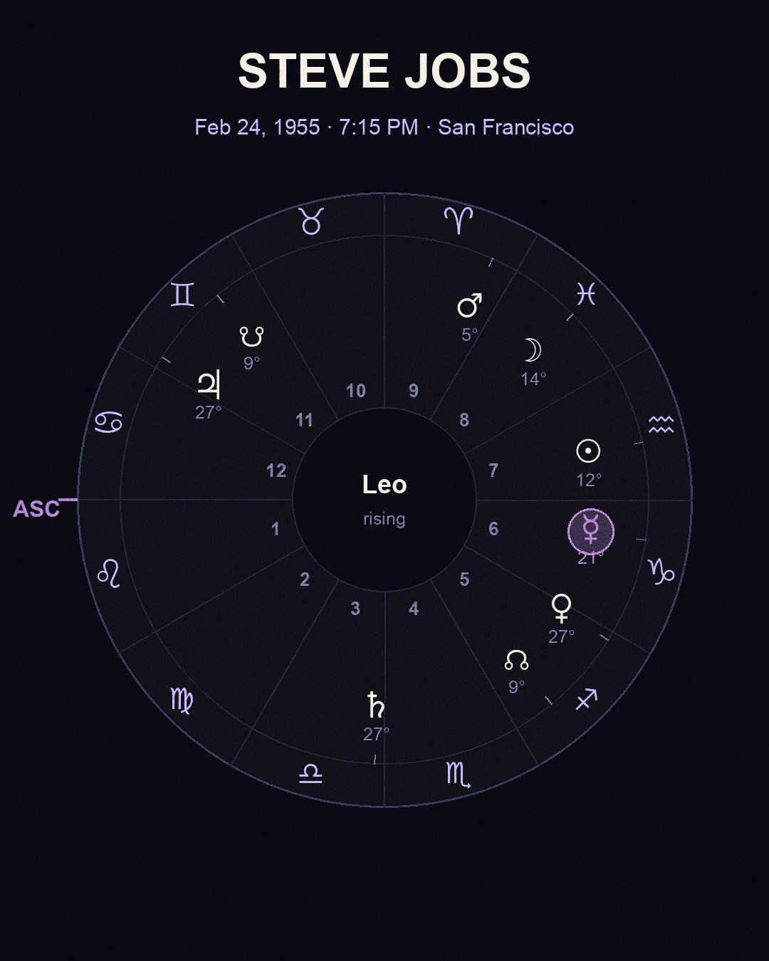Steve Jobs — sidereal chart wheel